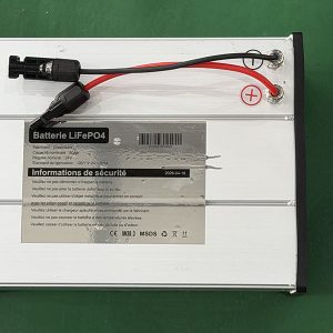 Etiquette de la batterie LiFePo4 1